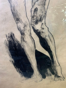 erwin stolz (1896 1987) female nude, ink drawing